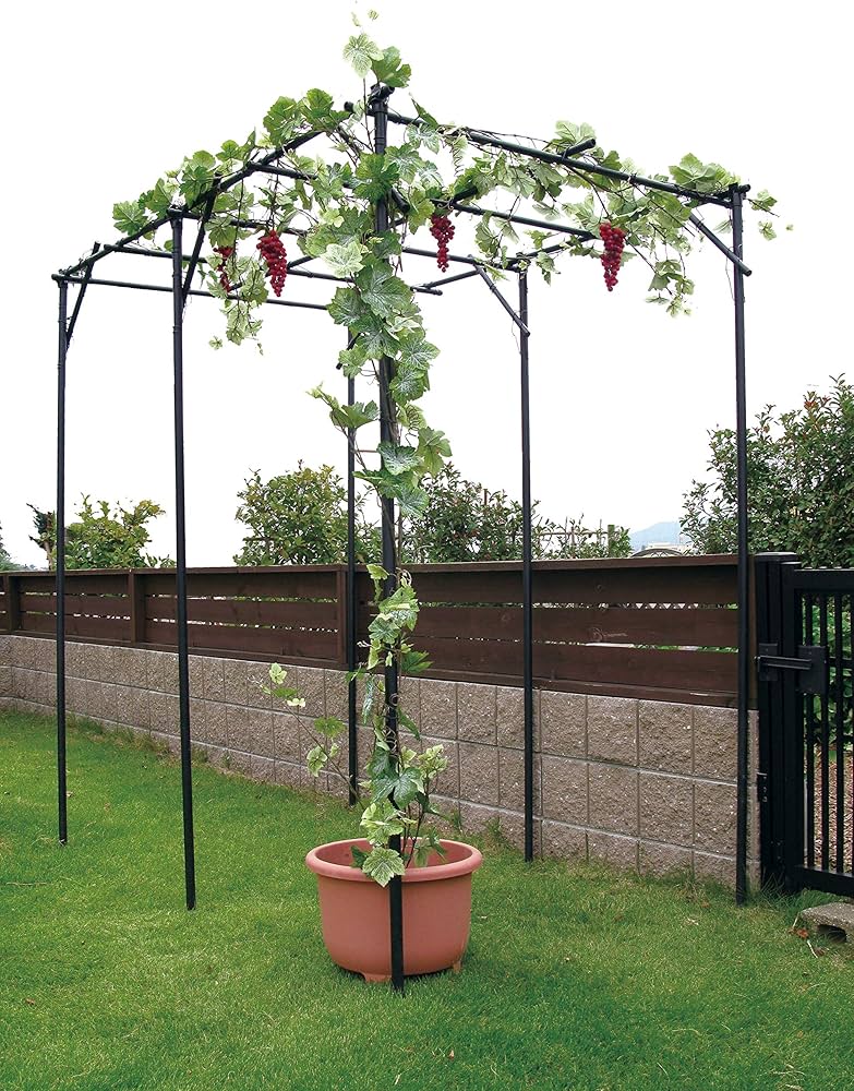 Amazon | DAIM パーゴラ 果物棚 セット 幅120cm 奥行180cm 高さ180cm Amazon | DAIM パーゴラ 果物棚 セット 幅120cm 奥行180cm 高さ180cm